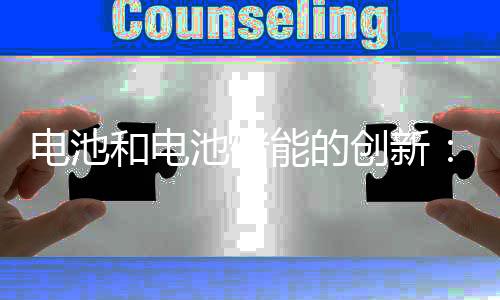 电池和电池储能的创新：基于专利数据的全球分析