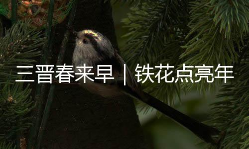 三晋春来早｜铁花点亮年味浓 小镇璀璨迎新春