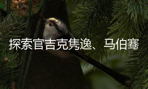 探索官吉克隽逸、马伯骞、Tizzy T 解锁喜力星银S计划