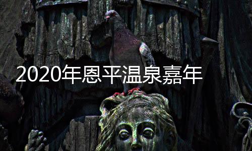 2020年恩平温泉嘉年华暨粤港澳大湾区“泉林杯”大河马赛车文化周系列赛鸣金收兵